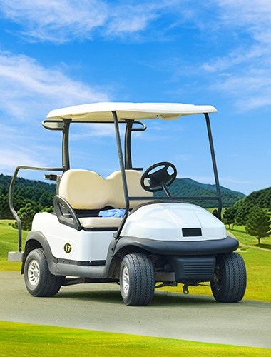 LiFePO4 Battery for RV & Campers